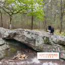 Dolmen de la Pierre Ardoue
