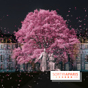Vincennes, Château de Lumières - Nuits de lumière