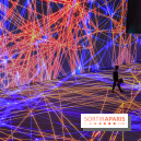 Pixels au Grand Palais Immersif : nos photos de l'exposition qui mêle art numérique et IA - IMG 0962