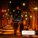 Lumières en Seine 2024, le parcours de lumières féérique et animé  -  A7C6590