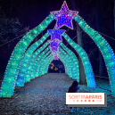 L'Odyssée Lumineuse 2024, le parcours de lumières au Parc Floral - les photos - enfant - traversée