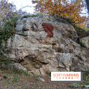 Randonnée à Fontainebleau : le sentier sur les pas de Denecourt jusqu’à la Tour Denecourt -  A7C7554