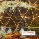 Bulle d'Hiver - Novotel Paris Les Halles - IMG 8584