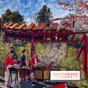 Le Défi du Dragon : la nouvelle attraction à sensations fortes du Jardin d'Acclimatation