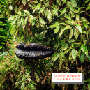 Grandeur Nature II, le festival d'art contemporain gratuit au parc du Château de Fontainebleau - A7C02755