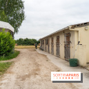 Balade en chevaux Henson en forêt de Fontainebleau  - A7C02826
