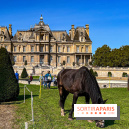 Tous en piste ! à Maisons-Laffitte (78): poneys, calèche et spectacles équestres gratuits au château - IMG 8275 jpg