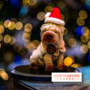 Tea time de Noël du Mandarin Lutetia 2025 par Nicolas Guercio - photos - Lulu de Noël