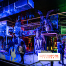 You Kids, le nouveau parc de loisirs indoor des Yvelines à Sky Ouest - photos - A7C03523