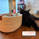 Le Chatelier  - IMG 2470