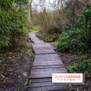 La source de l'Yvette : une statue mystérieuse dans les Yvelines - A7C05601