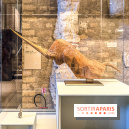 Licornes ! : l’exposition du Musée de Cluny à Paris explore le mythe de la créature légendaire - IMG 4410