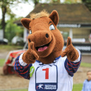La Fête du Cheval, une journée familiale à l’Hippodrome d’Enghien-Soisy - BV BV 5627