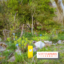 Le jardin botanique de Launay et arboretum de l'Université Paris Saclay à Orsay - les photos - A7C09556