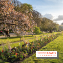 Les floraisons exceptionnelles du Jardin des Plantes 2026 : tulipes, coquelicots et cerisiers - photos - A7C00576