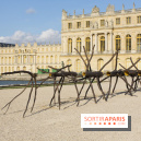 Penone au Château de Versailles, Spazio di luce | Espace de lumière