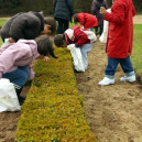 Chasse aux oeufs, Château de vaux le Vicomte