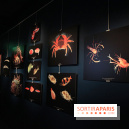 Exposition coquillages et crustacés à l'aquarium de la Porte Dorée