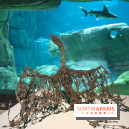 Aquarium de Paris : La Fabrique des profondeurs, l'exposition de Lionel Sabatté