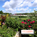 Jardins, jardin aux Tuileries 2014