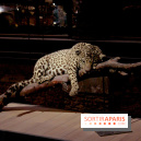 Grande Galerie de l'Evolution