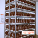 La Chocolate Factory de Paul McCarthy à la Monnaie de Paris