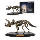 La Nuit au musée 3 : on a des cadeaux pour vous !