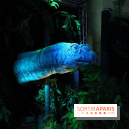 Autour des dinosaures au Palais de la Découverte