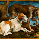 Jacopo da ponte, dit Jacopo Bassano, Deux chiens de chasse attachés à une souche, 1548 Huile sur toile © Service presse Réunion des musées nationaux — Grand Palais / Stéphane Maréchalle