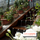 Jardin d'Orient à l'Institut du Monde Arabe