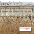 Gad Weil installe son Champ de Blés Place Vendôme