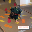 La Cité des Enfants se Renouvelle - Décembre 2016