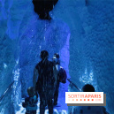 Les Manchots de l'Aquarium Sea Life