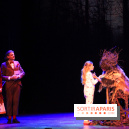 Emilie Jolie, la comédie musicale 2017/2018