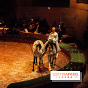 Nature, le spectacle équestre à Chantilly