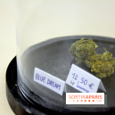 BlueDreamLab le spécialiste de la vente de cannabis CBD