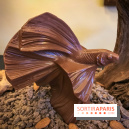 Chocolat de Pâques 2019 au Prince de Galles