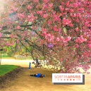 Le Jardin des Plantes