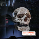 Exposition Préhistoire, un invention moderne au Centre Pompidou, les photos