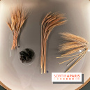 Je mange donc je suis au Musée de l'Homme