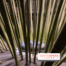 Black Bamboo de Nils-Udo à la Fondation EDF