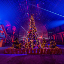 Le Grand Palais des Glaces 2019, la patinoire géante - les photos