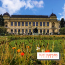 Visuel Paris Jardin des Plantes - Muséum MNHN