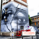 Hommage à Adama Traoré : l'artiste JR dévoile un collage géant à Paris, les photos