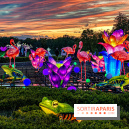 Photos : Thoiry Lumières Sauvages 2020-2021