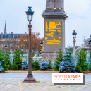 Photos : Illuminations et sapins de Noël Place de la Concorde