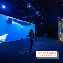 Photos : Odyssée sensorielle, l’expo immersive au Museum 