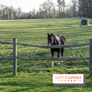 Le domaine du Chateau de Dampierre 