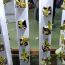 Salon Vivre Autonome 2022