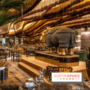 Salvaje, le nouveau restaurant japonais festif à l'ambiance africaine